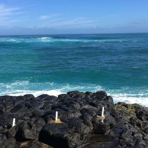 Meet your Posher, Elle